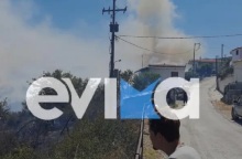 Φωτιά στον Κρεμαστό Εύβοιας