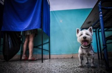 Σκύλος σε εκλογικό κέντρο στο οποίο ψηφοφόρος βρίσκεται μέσα σε παραβάν