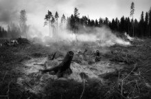 Δασικές πυρκαγιές στη Μεσόγειο μπορούν να εξελιχθούν σε megafires λόγω κλιματικής αλλαγής