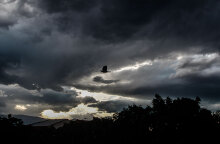 Βροχές αναμένονται σε περιοχές της χώρας αύριο Δευτέρα (27/6), σύμφωνα με την πρόγνωση καιρού