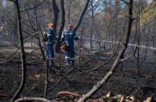 Φωτιά στη Ζήρια: Οι πρώτες εικόνες από τα καμμένα (εικόνες)