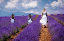 Μελενικίτσι, Σέρρες