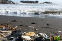 Θαλάσσια ρύπανση