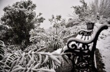 Σε λευκό τοπίο έχει μετατραπεί και η περιοχή των Ιωαννίνων