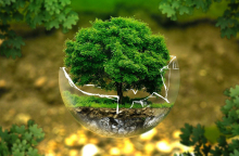 Φωτογραφία για την προστασία του περιβάλλοντος