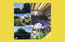 Ελληνικός Χρυσός: Δίπλα στον Δήμο Αριστοτέλη