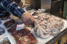  ΘΕΣΣΑΛΟΝΙΚΗ - ΣΑΡΑΚΟΣΤΙΑΝΑ 