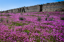 ΤΑ ΤΕΙΧΗ ΤΗΣ ΑΡΧΑΙΑΣ ΝΙΚΟΠΟΛΗΣ ΣΕ ΑΝΟΙΞΙΑΤΙΚΟ ΣΚΗΝΙΚΟ
