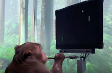 Μαϊμού παίζει βιντεοπαιχνίδι μέσω του νου της 