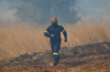 Φωτιά στα Βίλια Αττικής - Πυροσβέστης