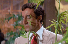 Το Πάρτι με τον Πίτερ Σέλερς