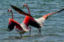 Βελτιώνεται κι άλλο ο καιρός το Σάββατο 
