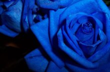 Εορτολόγιο: Σήμερα 25 Σεπτεμβρίου γιορτάζει… 