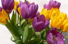 Εορτολόγιο: Σήμερα 7 Οκτωβρίου γιορτάζει…