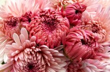 Εορτολόγιο: Σήμερα 22 Οκτωβρίου γιορτάζει…