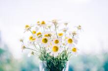 Εορτολόγιο: Σήμερα 7 Δεκεμβρίου γιορτάζει…