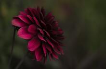 Εορτολόγιο: Σήμερα 19 Δεκεμβρίου γιορτάζει…