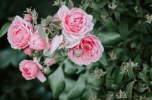 Εορτολόγιο: Σήμερα 23 Οκτωβρίου γιορτάζει…