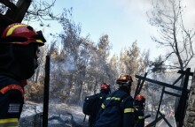 pirkagia-fotia-penteli