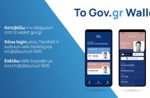 govwallet1