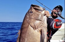 Βλαχοσφυρίδα στα χέρια ψαρά