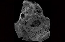 mystirio-epistimones