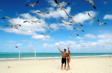 Τουρίστες σε παραλία της Κούβας υψώνουν τα χέρια προς τους γλάρους που πετούν από πάνω τους