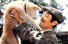 12 υπέροχα φιλμ γύρω από τις σχέσεις μεταξύ ανθρώπων και ζώων