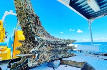 Κομμάτια ναυαγίων από το 250 π.Χ. ανασύρουν αρχαιολόγοι και καραμπινιέροι από τη θάλασσα της Σικελίας