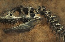 dinosaur-2106811_1280