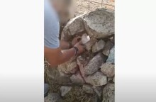 Σπείρα διακινούσε ναρκωτικά στη Μύκονο