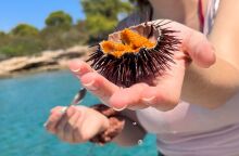 Τους πιο φρέσκους αχινούς, είναι γνωστό, τους πιάνεις μόνος σου. Με πολλές βουτιές μαζέψαμε αρκετούς και τους κάναμε μακαρονάδα. Μας πέτυχε!