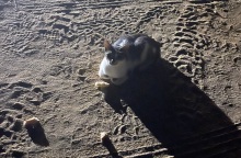 Ο Φώτης Γεωργελές μοιράζεται εικόνες, σκέψεις και παρατηρήσεις από τις καλοκαιρινές διακοπές.