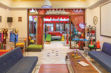 Dog n' Roll pet grooming