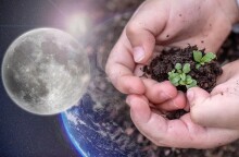 «Στοίχημα» για τους επιστήμονες τα φυτά στη Σελήνη και η καλλιέργειά τους