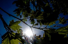 Ηλιοφάνεια - Ο καιρός σήμερα