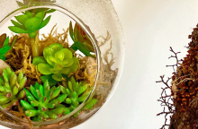 Τι σημαίνει zero waste;