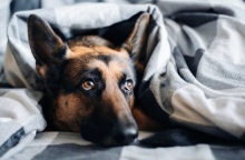 Επίδομα θέρμανσης: Αλλάζουν τα περιουσιακά κριτήρια, αυξάνονται τα ποσά - Ποιοι δικαιούχοι θα λάβουν από 100 έως και 1600 ευρώ.