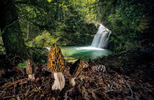 Ανακοινώθηκαν τα βραβεία Wildlife Photographer of the Year, του Μουσείου Φυσικής Ιστορίας του Λονδίνου - Διακρίθηκε ο Έλληνας φωτογράφος Αγοραστός Παπατσάνης.