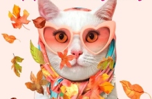 imera-iothesias-gata_