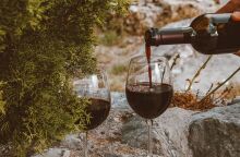 Παγκόσμια Ημέρα Ξινόμαυρου