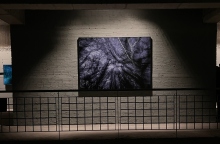 Επίσκεψη στην έκθεση του φωτογράφου Τάσου Βρεττού «Το αίνιγμα του Δάσους» στο κτίριο «Νόμπελ» στο Χαλάνδρι