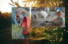 Αγαπήθηκε από το κοινό του Facebook και του TikTok ο μικρός Στέλιος από την Κρήτη - Είναι μόλις 2 ετών, αλλά ασχολείται με αγροτικές και κτηνοτροφικές δουλειές. 