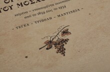 «Οι πρωτοπόροι του Μοσχοφίλερου»