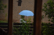 Γυναίκα με ομπρέλα στο βάθος του πλάνου προστατεύεται από τη βροχή - Στο προσκήνιο φυτά με σταγόνες βροχής