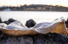 ileana_arnaoutou___ismene_king__tender_shell_geophilia__detail__art_prize_2022_2_