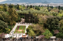 Δέντρα στην Αθήνα