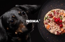 Σκύλος με τροφή ΝΟΜΑ