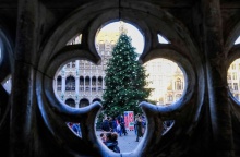 Χριστουγεννιάτικο δέντρο σε πλατεία στις Βρυξέλλες