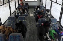 Ένα λεωφορείο στην Αλάσκα που μεταφέρει σκυλιά κατακτά τα μέσα κοινωνικής δικτύωσης - Η ιστορία του ανδρόγυνου που το δημιούργησε.